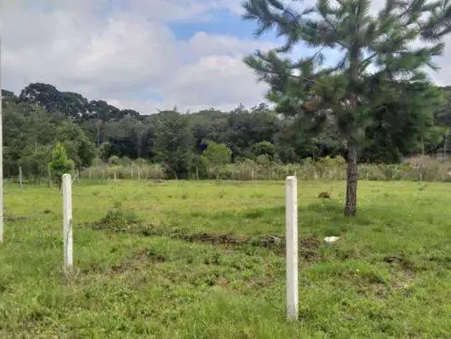 Sítio / Chácara para Venda em São José dos Pinhais/PR Campo Largo da Roseira