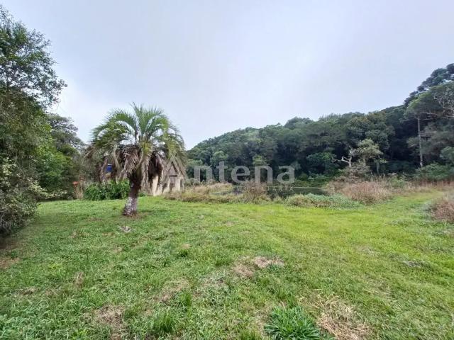 Sítio / Chácara para Venda em São José dos Pinhais/PR Campo Largo da Roseira