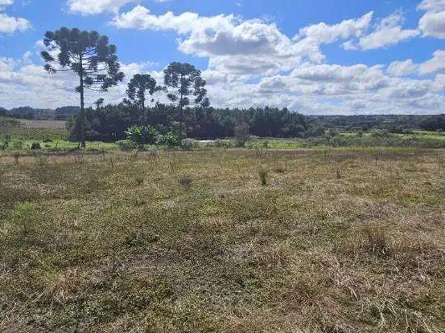 Sítio / Chácara para Venda em São José dos Pinhais/PR Campo Largo da Roseira