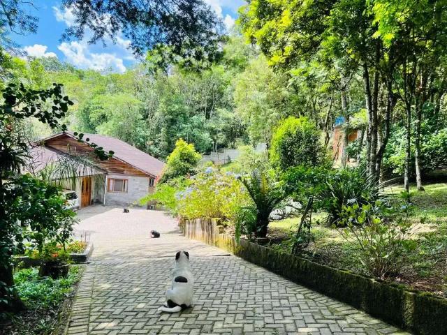 Sítio / Chácara para Venda em São José dos Pinhais/PR Capão Grosso