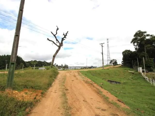 Sítio / Chácara para Venda em São José dos Pinhais/PR Contenda