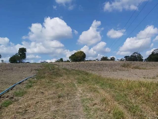 Sítio / Chácara para Venda em São José dos Pinhais/PR Contenda 4 Quartos