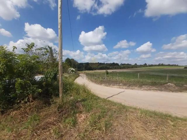 Sítio / Chácara para Venda em São José dos Pinhais/PR Contenda 4 Quartos