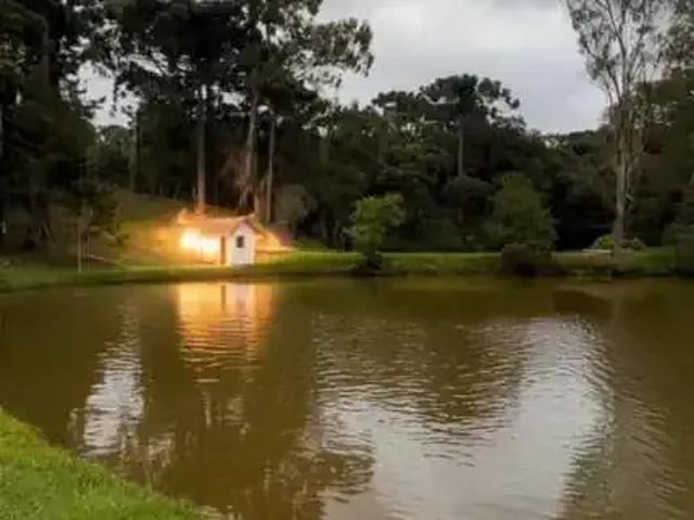 Sítio / Chácara para Venda em São José dos Pinhais/PR Contenda