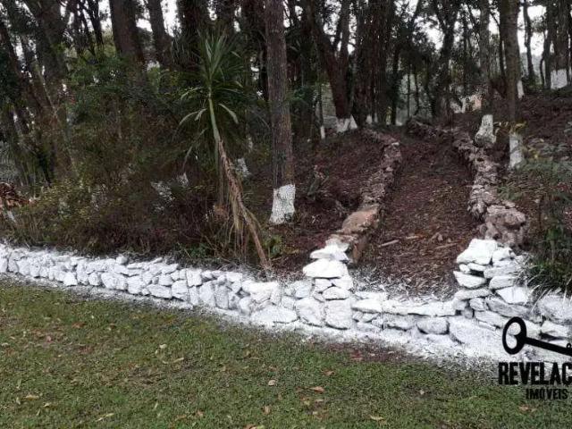 Sítio / Chácara para Venda em São José dos Pinhais/PR Contenda 1 Quartos