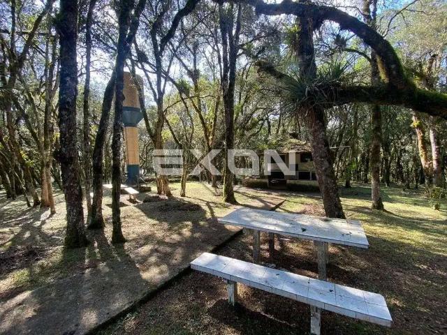 Sítio / Chácara para Venda em São José dos Pinhais/PR Contenda 1 Quartos