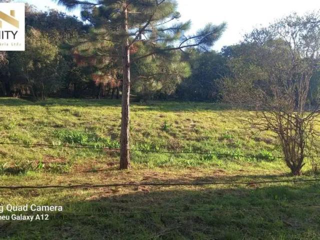 Sítio / Chácara para Venda em São José dos Pinhais/PR Contenda 1 Quartos