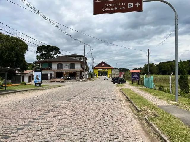 Sítio / Chácara para Venda em São José dos Pinhais/PR Colônia Murici