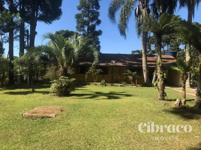 Sítio / Chácara para Venda em São José dos Pinhais/PR Colônia Murici 4 Quartos