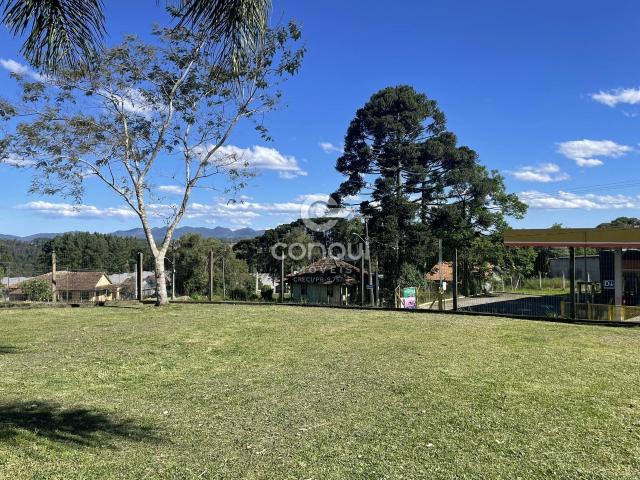 Sítio / Chácara para Venda em São José dos Pinhais/PR Colônia Murici 4 Quartos
