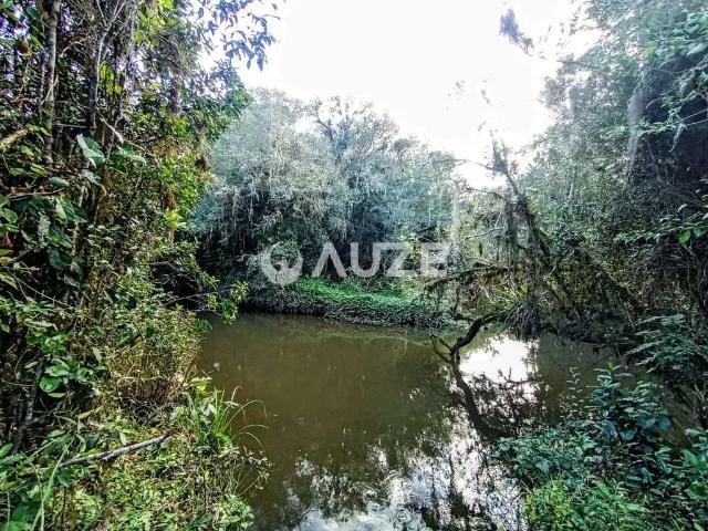 Sítio / Chácara para Venda em São José dos Pinhais/PR Colônia Murici