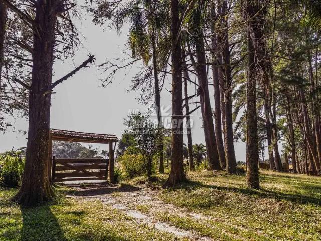 Sítio / Chácara para Venda em São José dos Pinhais/PR Colônia Murici 5 Quartos