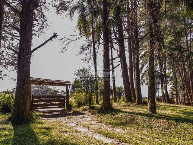 Sítio / Chácara para Venda em São José dos Pinhais/PR Colônia Murici 5 Quartos