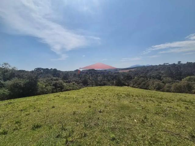 Sítio / Chácara para Venda em São José dos Pinhais/PR Colônia Murici