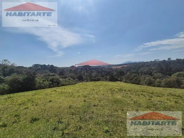 Sítio / Chácara para Venda em São José dos Pinhais/PR Colônia Murici