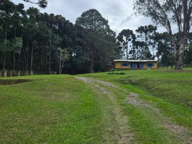 Sítio / Chácara para Venda em São José dos Pinhais/PR Colônia Murici