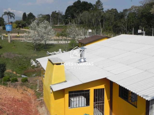 Sítio / Chácara para Venda em São José dos Pinhais/PR Colônia Murici 6 Quartos