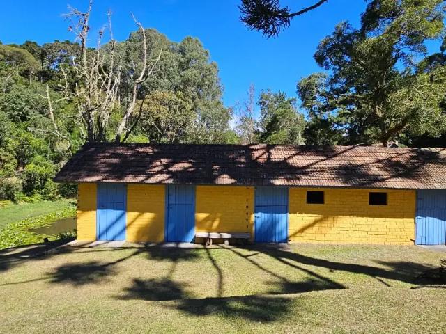 Sítio / Chácara para Venda em São José dos Pinhais/PR Colônia Murici