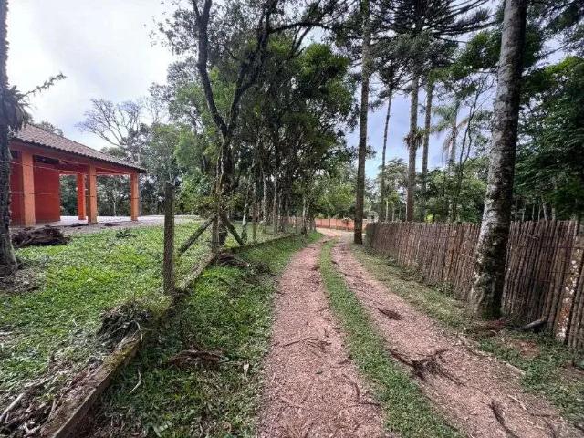 Sítio / Chácara para Venda em São José dos Pinhais/PR Colônia Murici