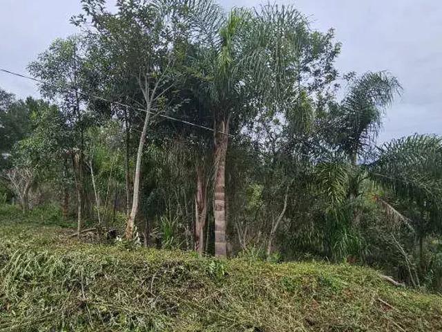 Sítio / Chácara para Venda em São José dos Pinhais/PR Colônia Murici
