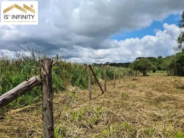 Sítio / Chácara para Venda em São José dos Pinhais/PR Colônia Murici 1 Quartos