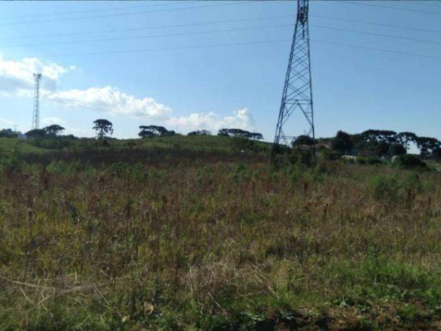 Sítio / Chácara para Venda em São José dos Pinhais/PR Colônia Murici 1 Quartos