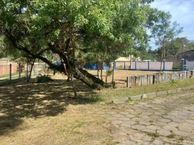 Sítio / Chácara para Venda em São José dos Pinhais/PR Colônia Murici 2 Quartos