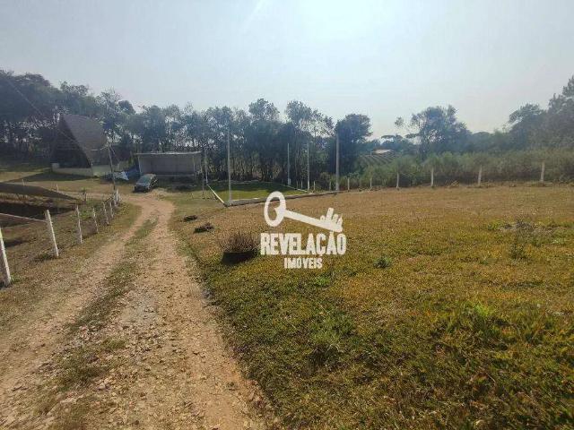 Sítio / Chácara para Venda em São José dos Pinhais/PR Colônia Murici 3 Quartos