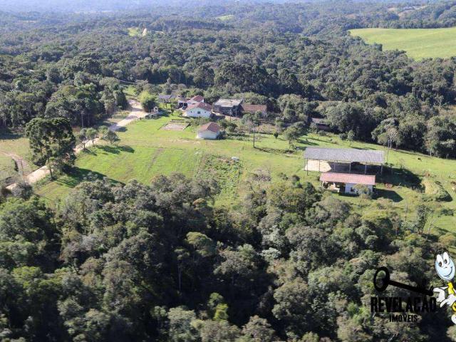 Sítio / Chácara para Venda em São José dos Pinhais/PR Colônia Murici 3 Quartos