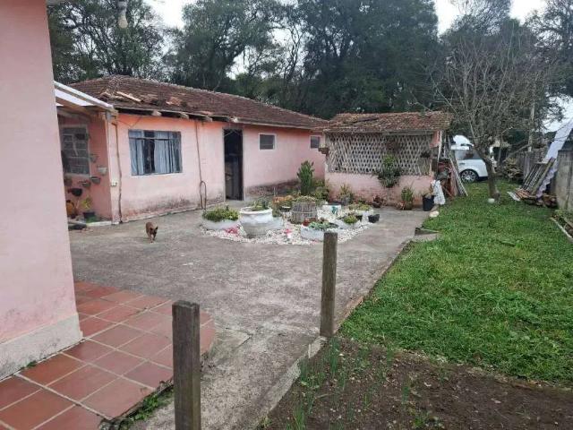 Sítio / Chácara para Venda em São José dos Pinhais/PR Colônia Murici 3 Quartos