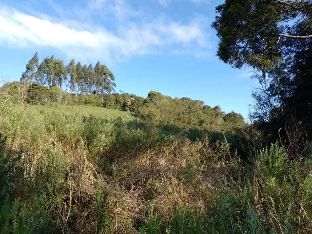 Sítio / Chácara para Venda em São José dos Pinhais/PR Colônia Malhada