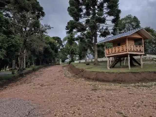Sítio / Chácara para Venda em São José dos Pinhais/PR Colônia Marcelino 5 Quartos