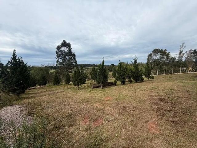Sítio / Chácara para Venda em São José dos Pinhais/PR Colônia Mergulhão