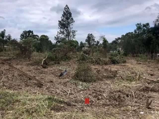 Sítio / Chácara para Venda em São José dos Pinhais/PR Colônia Mergulhão 1 Quartos