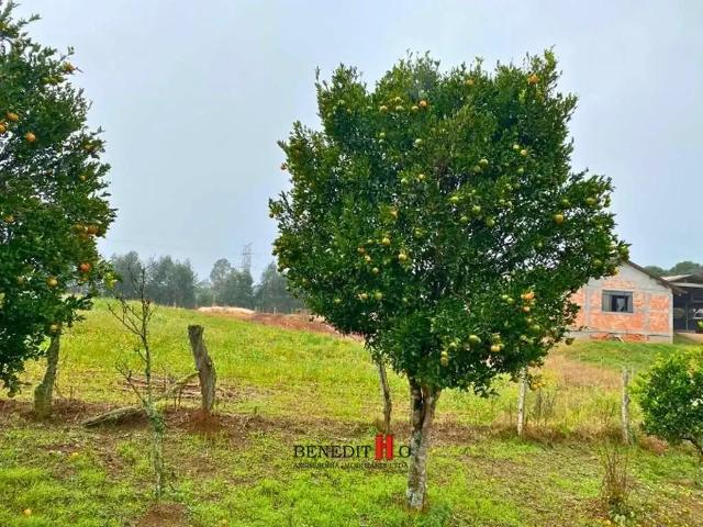 Sítio / Chácara para Venda em São José dos Pinhais/PR Colônia Mergulhão