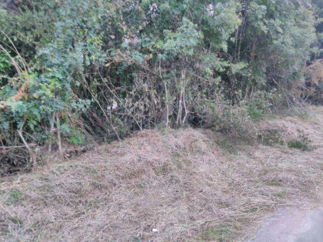 Sítio / Chácara para Venda em São José dos Pinhais/PR Costeira