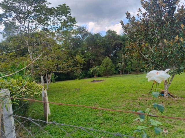 Sítio / Chácara para Venda em São José dos Pinhais/PR Costeira 2 Quartos