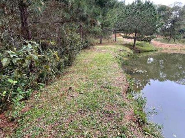 Sítio / Chácara para Venda em São José dos Pinhais/PR Cotia 4 Quartos