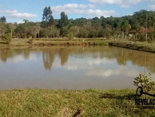 Sítio / Chácara para Venda em São José dos Pinhais/PR Cotia 2 Quartos