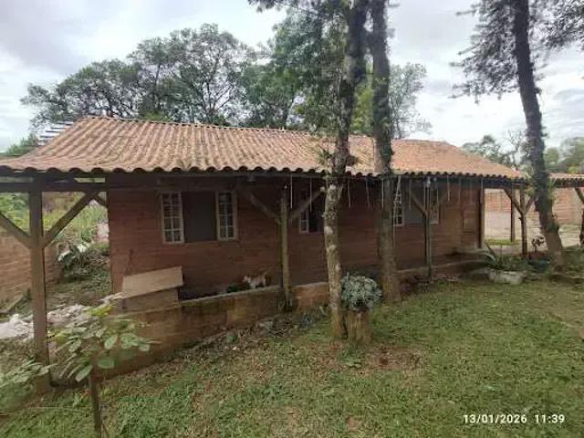 Sítio / Chácara para Venda em São José dos Pinhais/PR Cotia 3 Quartos