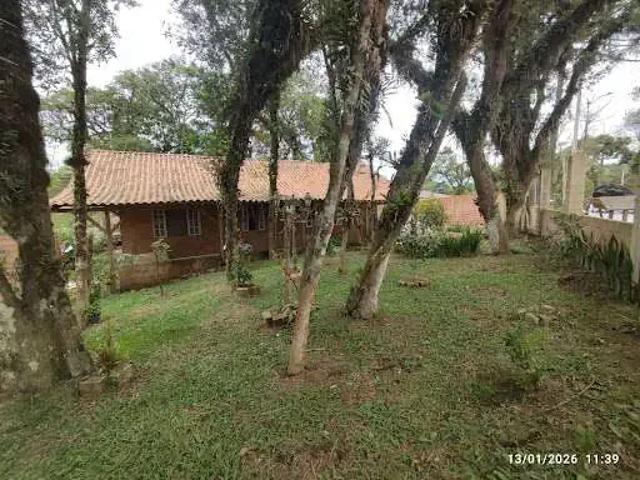 Sítio / Chácara para Venda em São José dos Pinhais/PR Cotia 3 Quartos