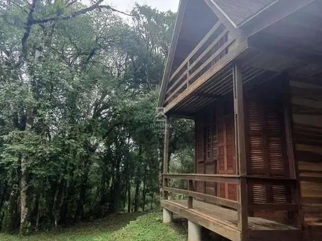 Sítio / Chácara para Venda em São José dos Pinhais/PR Curralinho 1 Quartos