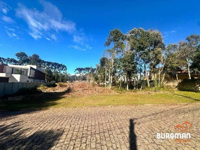 Sítio / Chácara para Venda em São José dos Pinhais/PR Dom Rodrigo 1 Quartos
