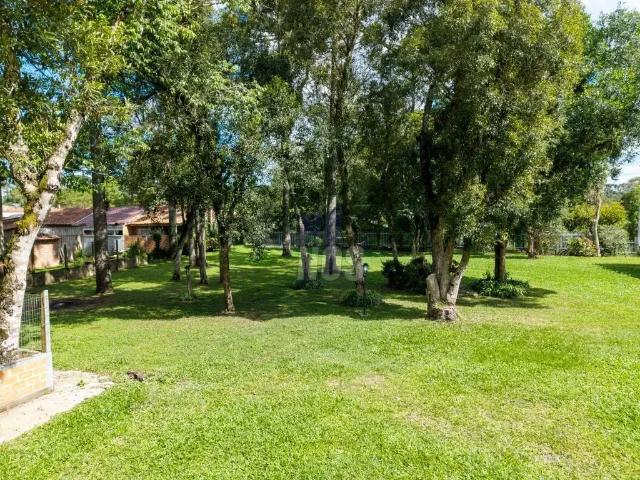 Casa / Sobrado para Venda em São José dos Pinhais/PR Dom Rodrigo 3 Quartos