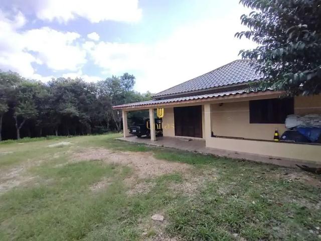 Sítio / Chácara para Venda em São José dos Pinhais/PR Iná 3 Quartos