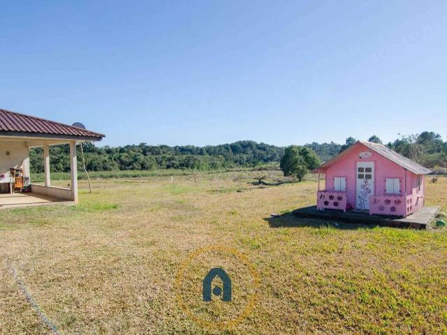 Sítio / Chácara para Venda em São José dos Pinhais/PR Itália 3 Quartos