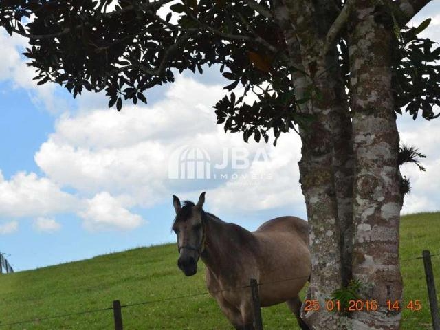 Sítio / Chácara para Venda em São José dos Pinhais/PR Miringuava 3 Quartos