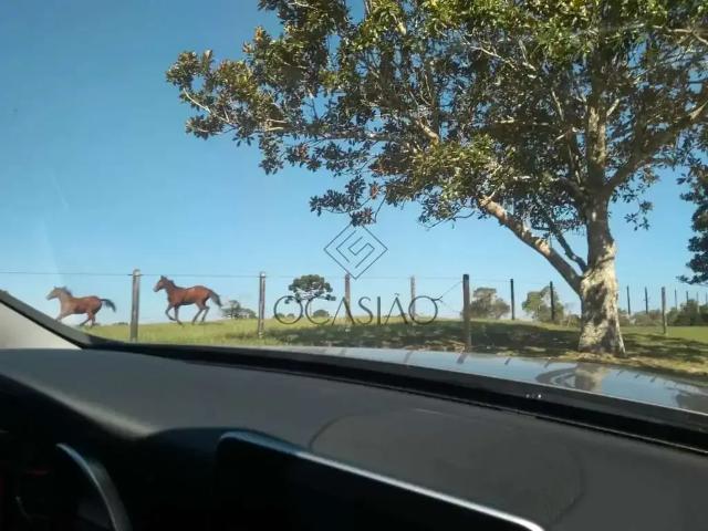 Sítio / Chácara para Venda em São José dos Pinhais/PR Miringuava