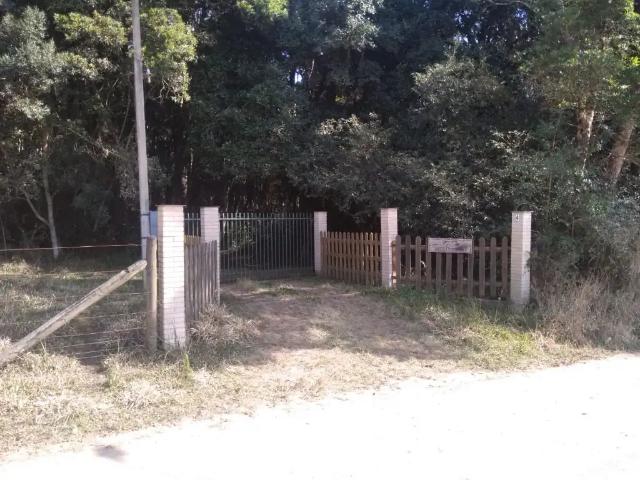 Sítio / Chácara para Venda em São José dos Pinhais/PR Nhoaiva 3 Quartos
