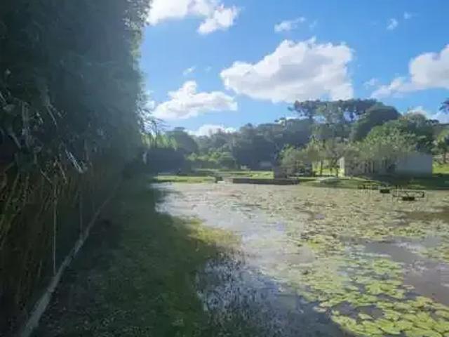 Sítio / Chácara para Venda em São José dos Pinhais/PR Roça Velha 2 Quartos